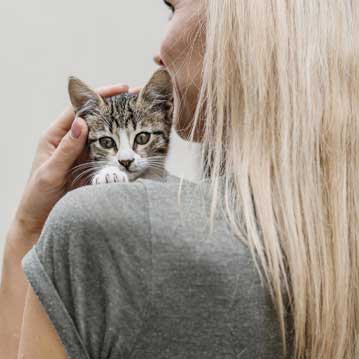 Brick and stone restoration in Massachusetts